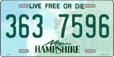 NH license plate 3637596