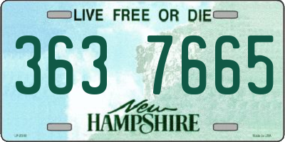 NH license plate 3637665