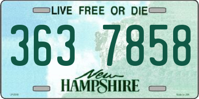 NH license plate 3637858
