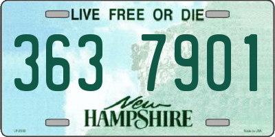 NH license plate 3637901