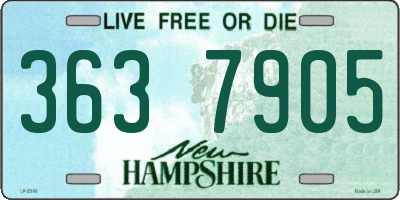 NH license plate 3637905