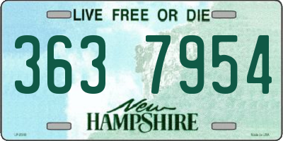 NH license plate 3637954