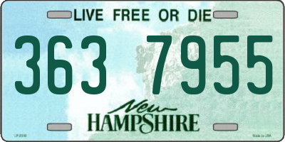NH license plate 3637955