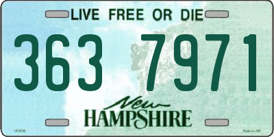 NH license plate 3637971