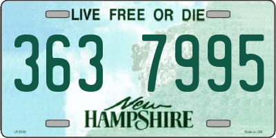 NH license plate 3637995