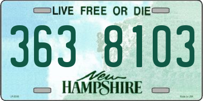 NH license plate 3638103