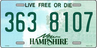 NH license plate 3638107