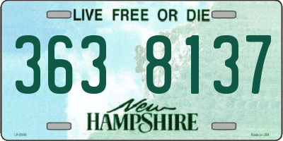 NH license plate 3638137