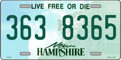 NH license plate 3638365