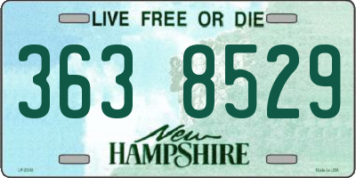 NH license plate 3638529