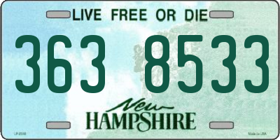 NH license plate 3638533