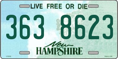 NH license plate 3638623
