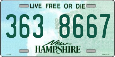 NH license plate 3638667