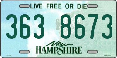 NH license plate 3638673