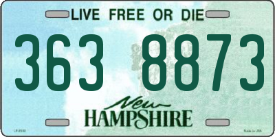 NH license plate 3638873