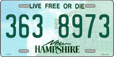NH license plate 3638973