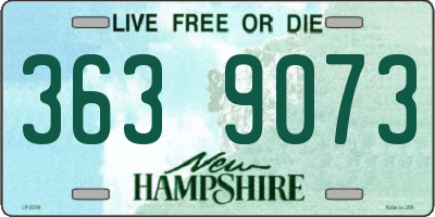 NH license plate 3639073