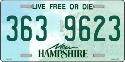 NH license plate 3639623