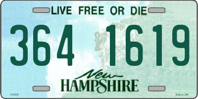 NH license plate 3641619