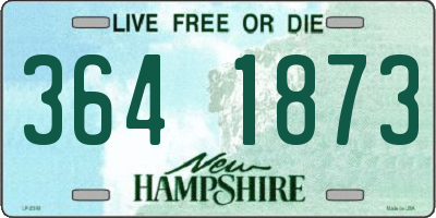 NH license plate 3641873