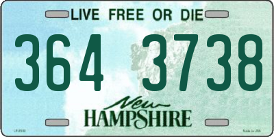 NH license plate 3643738
