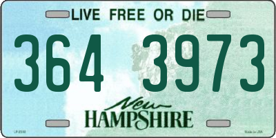 NH license plate 3643973