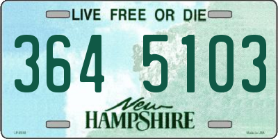 NH license plate 3645103