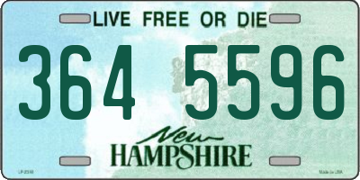 NH license plate 3645596