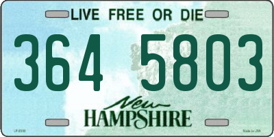 NH license plate 3645803