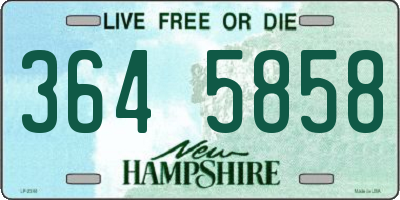NH license plate 3645858