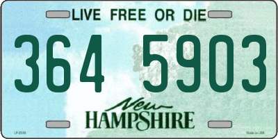 NH license plate 3645903