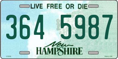 NH license plate 3645987