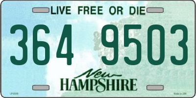 NH license plate 3649503