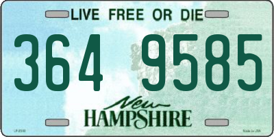 NH license plate 3649585