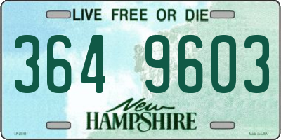 NH license plate 3649603