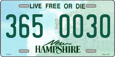 NH license plate 3650030