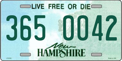 NH license plate 3650042