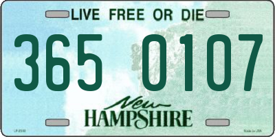 NH license plate 3650107