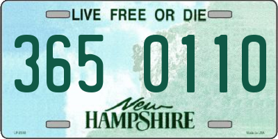 NH license plate 3650110
