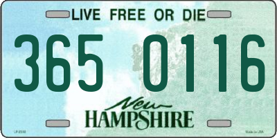 NH license plate 3650116