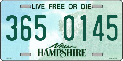 NH license plate 3650145
