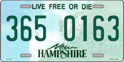 NH license plate 3650163