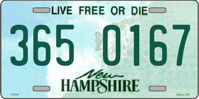 NH license plate 3650167