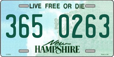 NH license plate 3650263