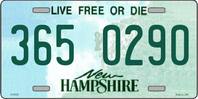 NH license plate 3650290