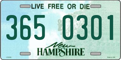 NH license plate 3650301