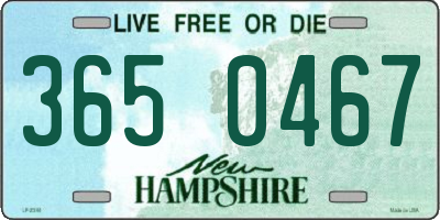 NH license plate 3650467