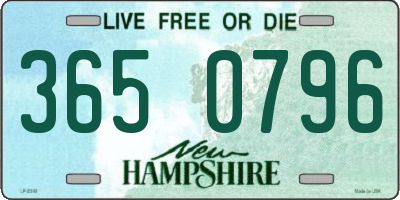 NH license plate 3650796