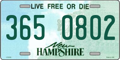 NH license plate 3650802