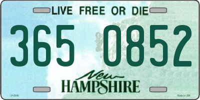 NH license plate 3650852